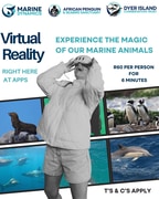 Experience Our Wildlife in Virtual Reality - All Year Round!