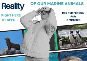 Experience Our Wildlife in Virtual Reality - All Year Round!