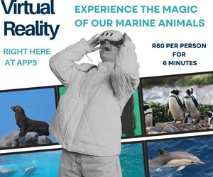 Experience Our Wildlife in Virtual Reality - All Year Round!