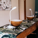 MosaicLagoonLodge_474_1773305386