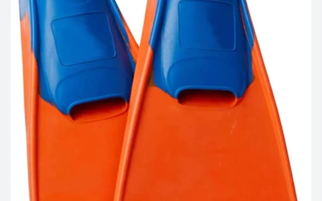 649842321_1563979732398859_5827401779559742368_n_1773646708