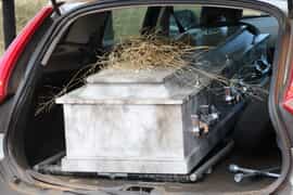 Introducing Our New Marble-Style Coffins