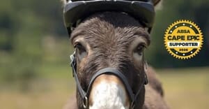 Cape Epic Comes to Greyton - And So Do Our New “Neigh-bours”!