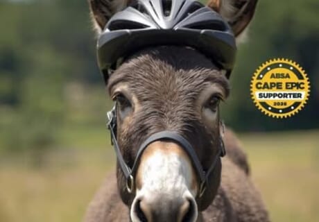 Cape Epic Comes to Greyton - And So Do Our New “Neigh-bours”!