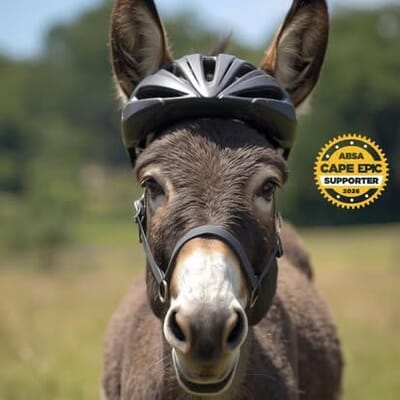 Cape Epic Comes to Greyton - And So Do Our New “Neigh-bours”!