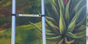 651248337_122231229194283540_8584277611236456880_n_1773729147