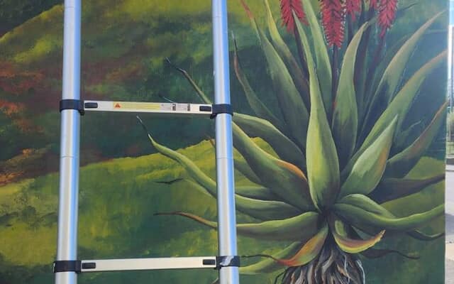 651248337_122231229194283540_8584277611236456880_n_1773729147