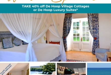 Winter Accommodation Special - 40% OFF