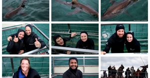 Daily Blog: 17 March 2026 | Shark Cage Diving in South Africa