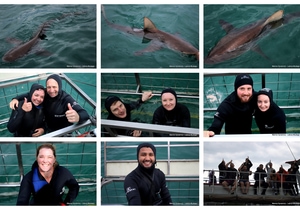 Daily Blog: 17 March 2026 | Shark Cage Diving in South Africa