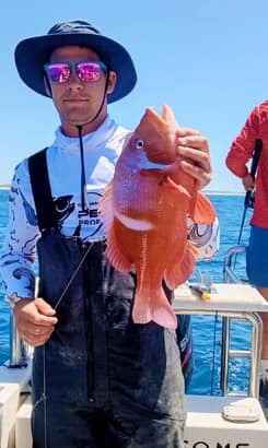 600290050_1446539570807646_560404426608196126_n_1773824142