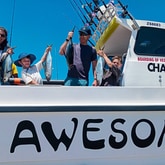 Boat - Awesome Charters - Xplorio™ L'Agulhas / Struisbaai