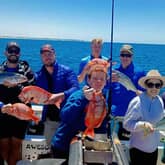 Boat - Awesome Charters - Xplorio™ L'Agulhas / Struisbaai