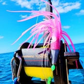 Fishing - Awesome Charters - Xplorio™ L'Agulhas / Struisbaai