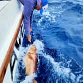 Fishing - Awesome Charters - Xplorio™ L'Agulhas / Struisbaai