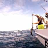 Fishing - Awesome Charters - Xplorio™ L'Agulhas / Struisbaai