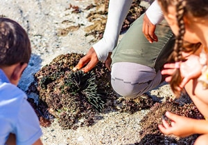 De Hoop Mini Ranger Family Winter Holiday 2026