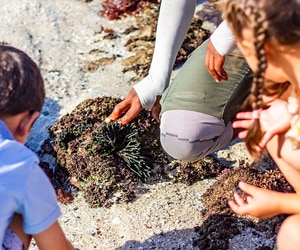 De Hoop Mini Ranger Family Winter Holiday 2026