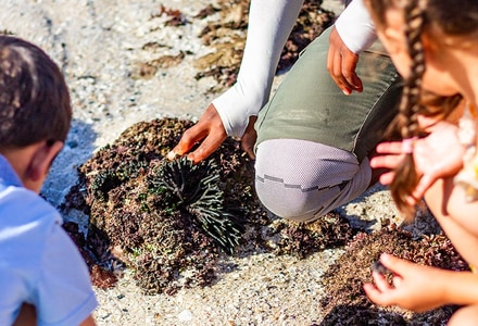 De Hoop Mini Ranger Family Winter Holiday 2026