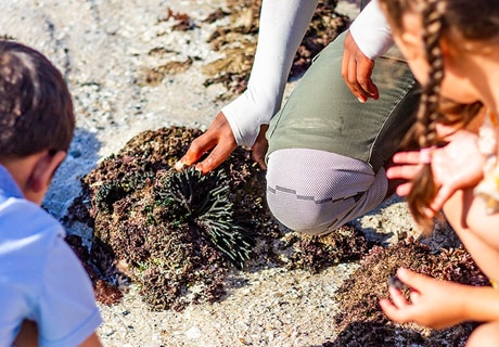 De Hoop Mini Ranger Family Winter Holiday 2026