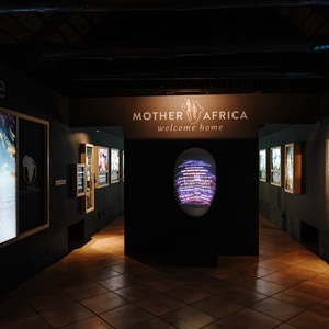 WhatsApp_Image_2026_03_19_at_10.03.19_1773909073