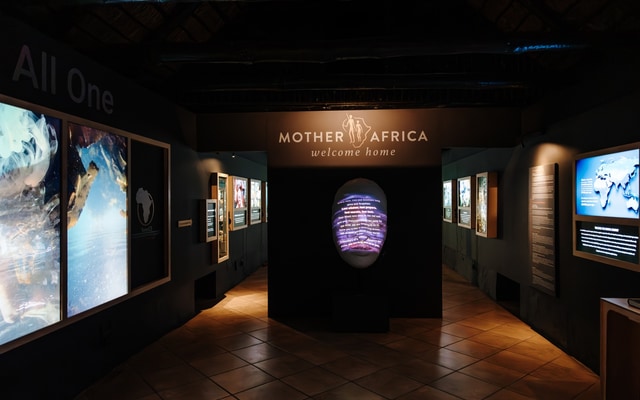 WhatsApp_Image_2026_03_19_at_10.03.19_1773909073