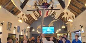 WhatsApp_Image_2026_03_19_at_15.27.31_1773927155