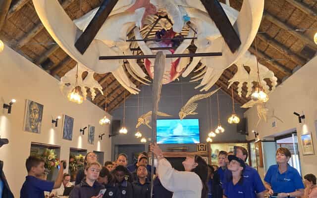 WhatsApp_Image_2026_03_19_at_15.27.31_1773927155