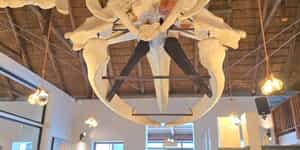 WhatsApp_Image_2026_03_19_at_15.27.32_1773927156