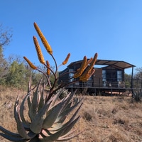 Tiny Homes - The Tiny Big House Gansbaai - Xplorio™