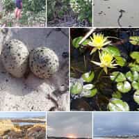 Pearly Beach - Pearly Beach Ratepayers - Xplorio™ Gansbaai