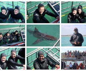 Daily Blog: 24 March 2026 | Shark Cage Diving in South Africa
