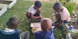 WhatsApp_Image_2026_03_26_at_11.17.35_1_1774517369