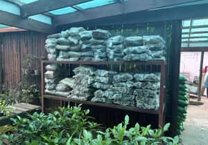 Wood Sales