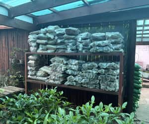 Wood Sales