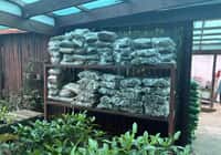 Firewood Specials