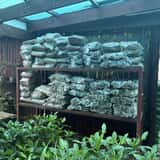 657729878_1399750995284640_7850277267570112159_n_1774524905