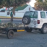 Tree Cutting - Clear Cut Tree Felling - Xplorio Gansbaai