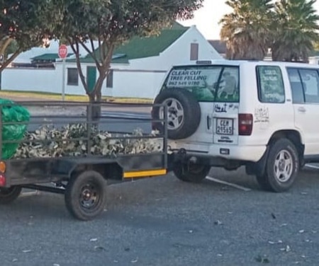 27557805_2c94_437d_9410_474508e186a3_1774525818