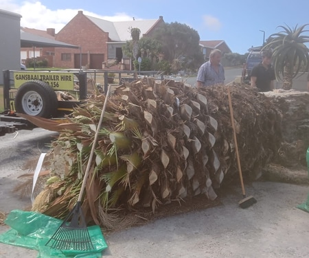 9e5da04d_3c00_4413_86f8_4bc1f1e5996d_1774525875