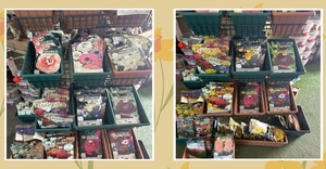 Winter Bulbs at Walker Bay Nursery