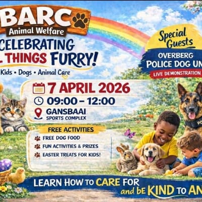 Celebrating All Things Furry on the 7th of April 2026