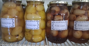 Celebrate Easter at Gansbaai Vismark!