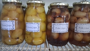 Celebrate Easter at Gansbaai Vismark!