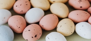 Easter Weekend Events in the Overstrand