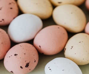 Easter Weekend Events in the Overstrand