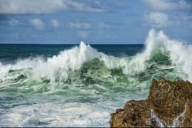 Your Invitation To Shape The Gansbaai Harbour Sign