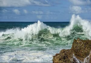 Your Invitation To Shape The Gansbaai Harbour Sign