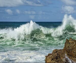 Your Invitation To Shape The Gansbaai Harbour Sign