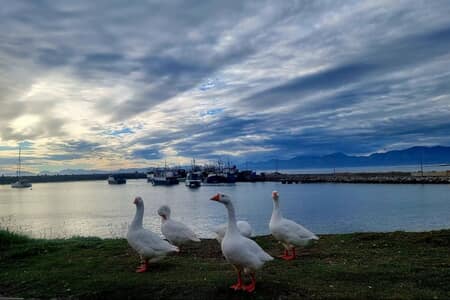 668827099_122233962338283540_7619907291825849604_n_1775716101